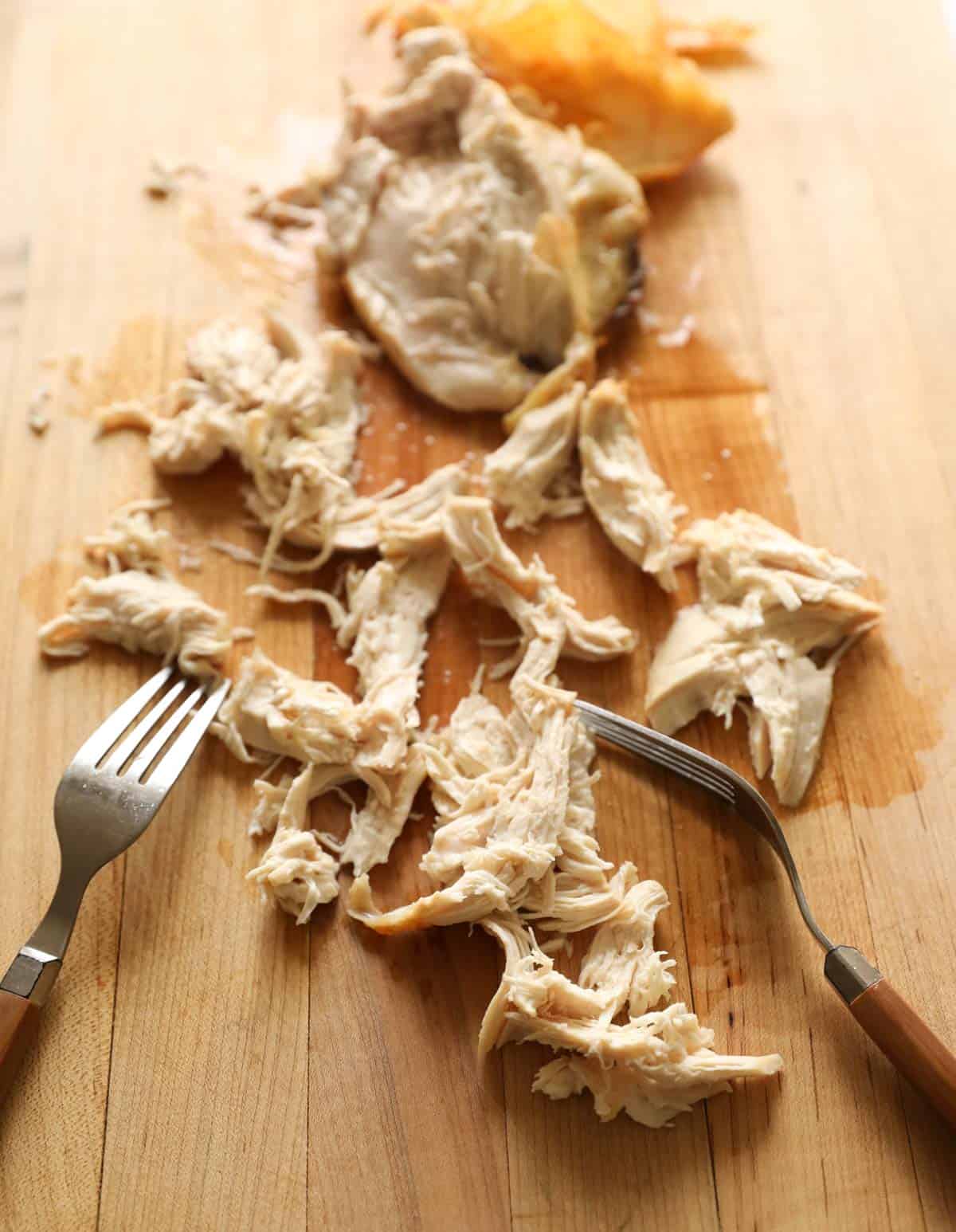 Chicken being shredded with two forks