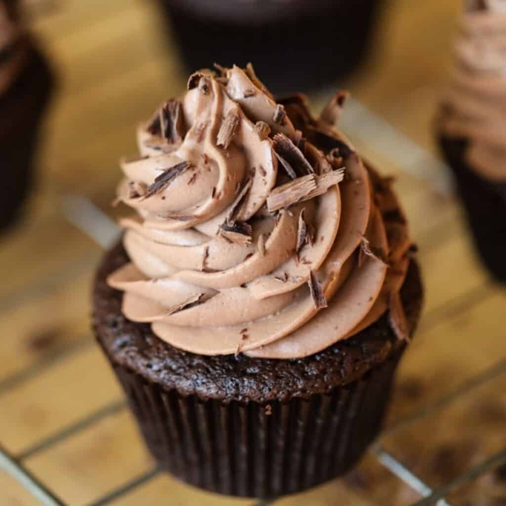 Chocolate Cupcake with Chocolate Frosting