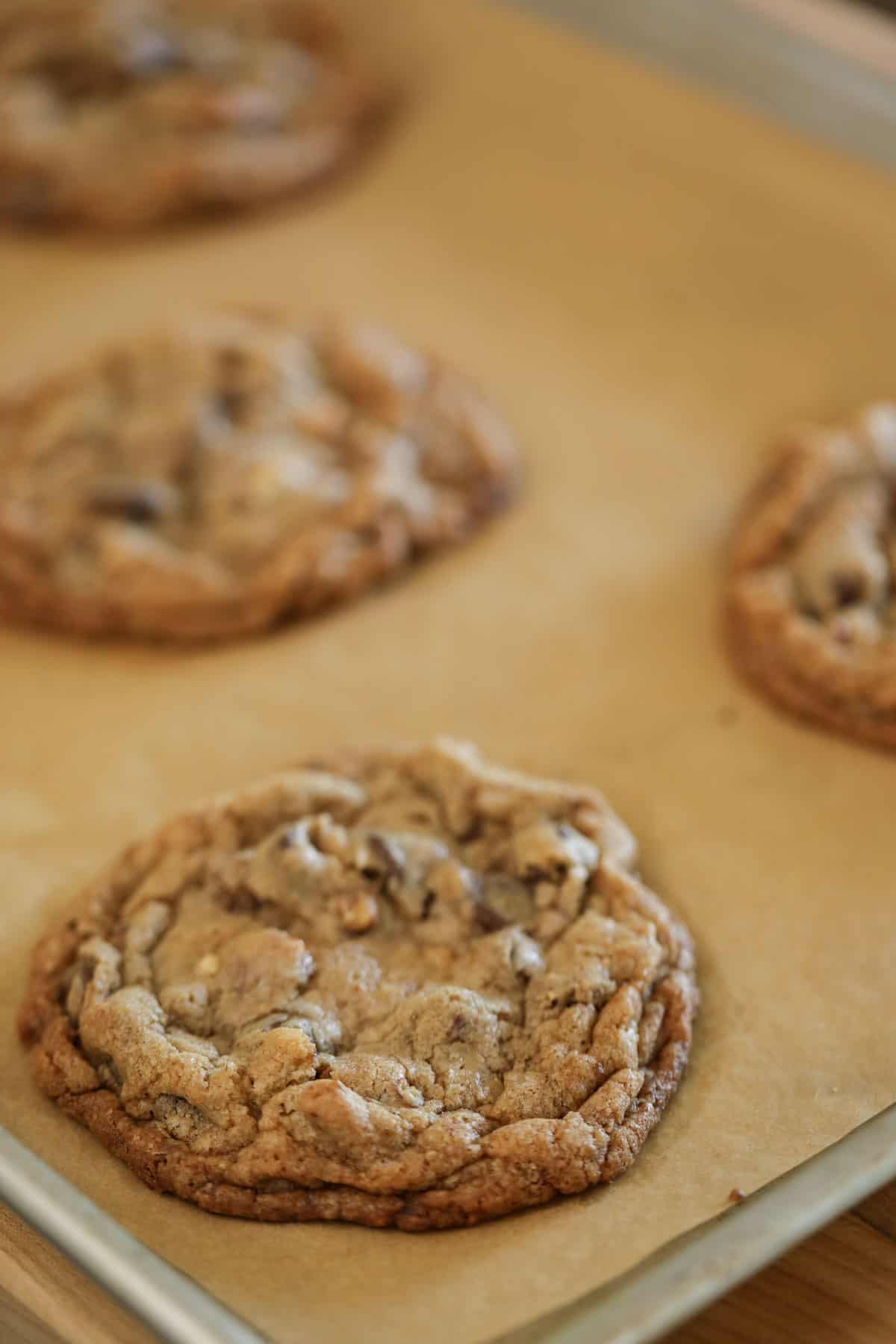 Cookies cooling on a baking tray lined with parchment paper