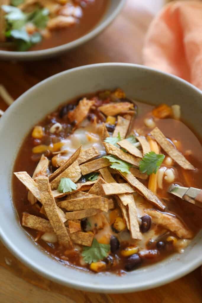 Close up of a bowl of soup topped with tortilla strips