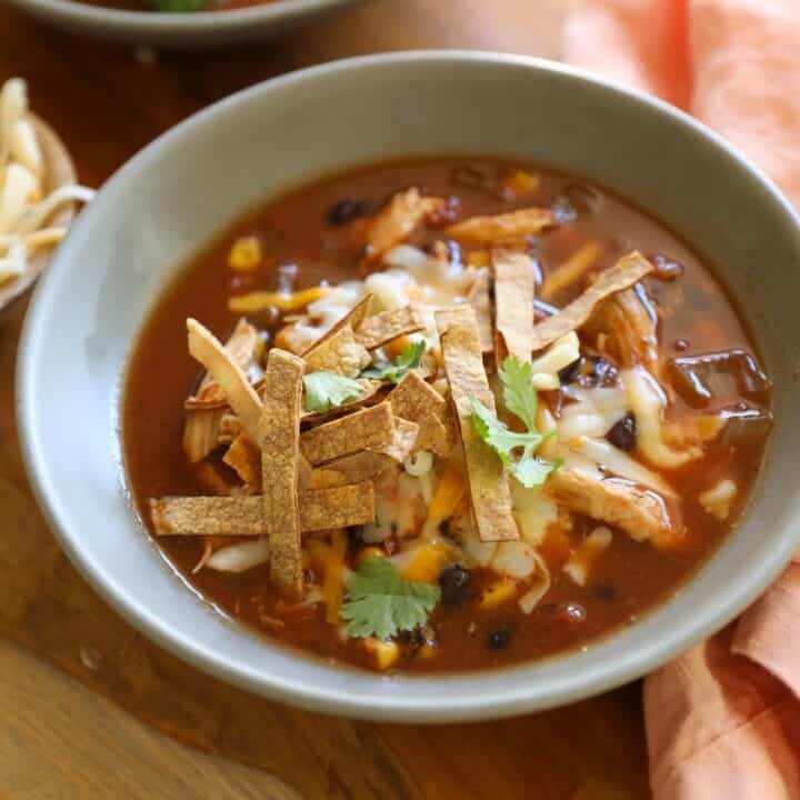 Slow Cooker Soup with Tortillas, Cheese and Chicken