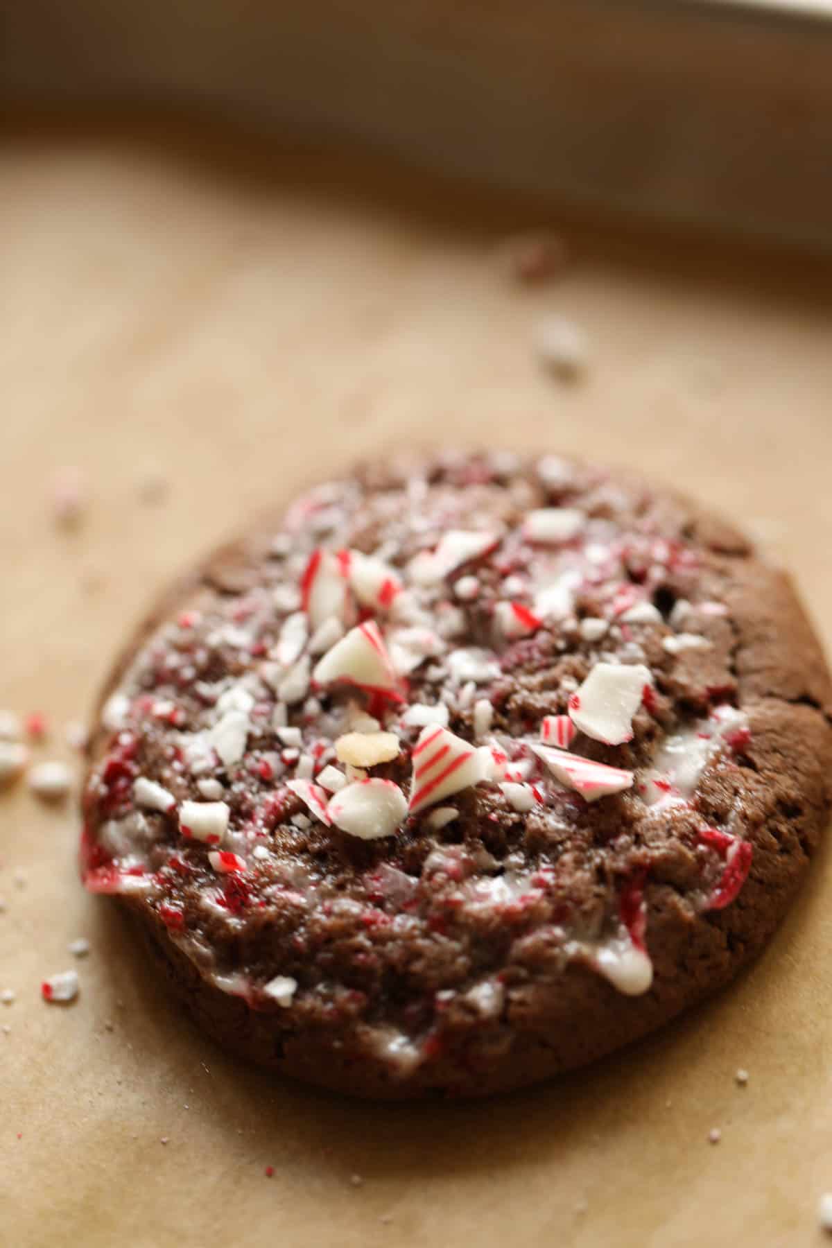 Crushed candy canes on top of a softed chocolate cookie