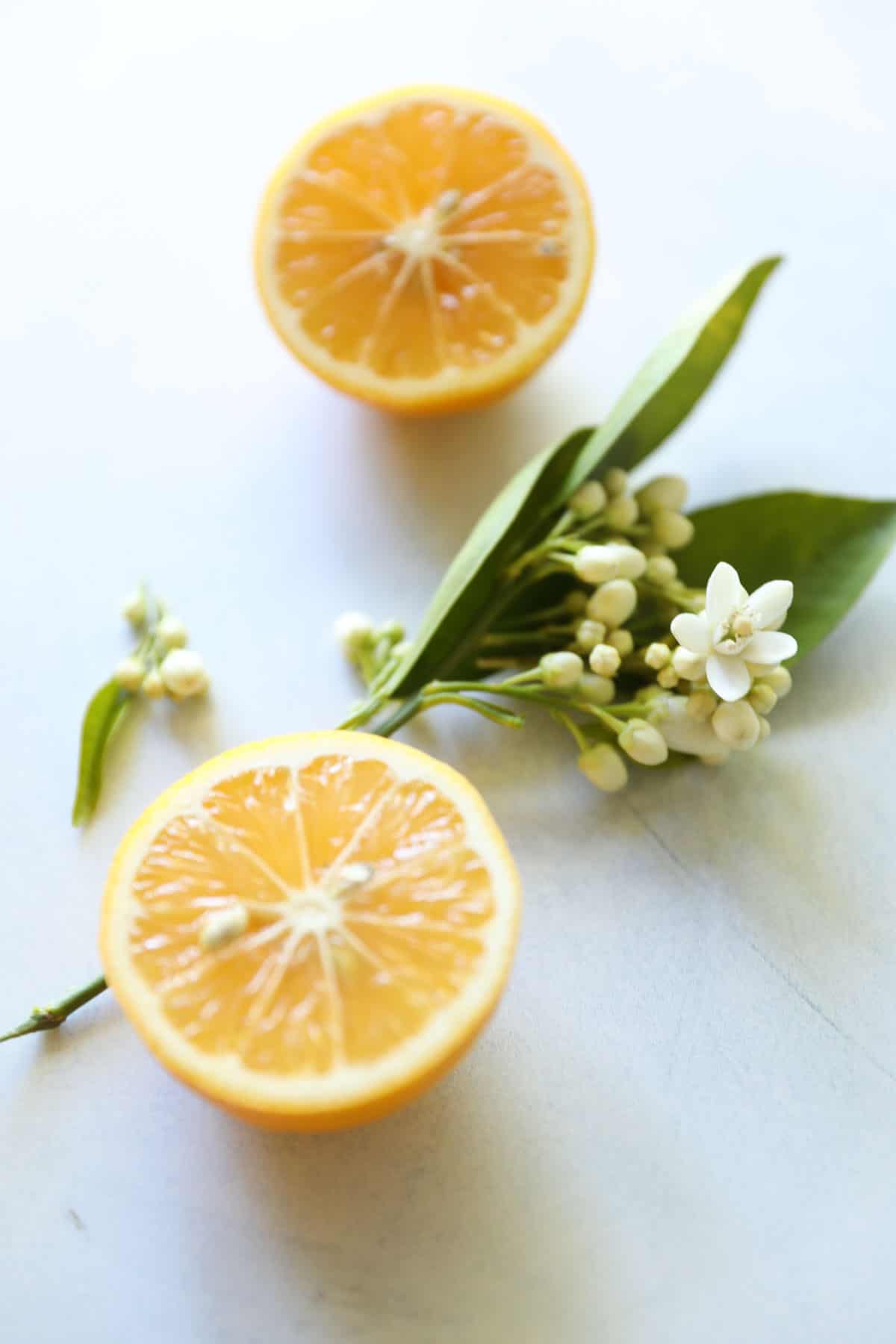 a sliced lemon with flowering citrus blossoms