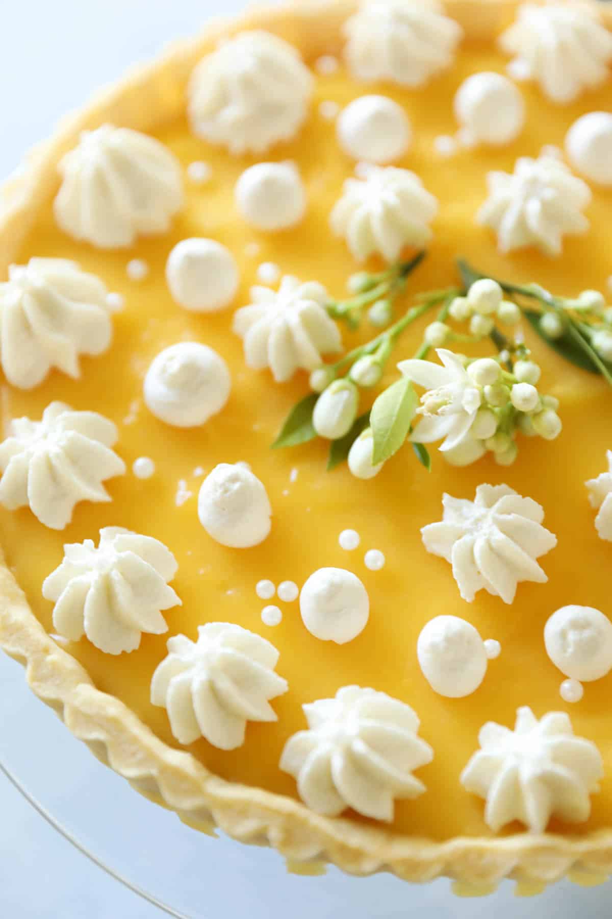 close up of whipped cream dollops on a lemon tart with a citrus blossoms