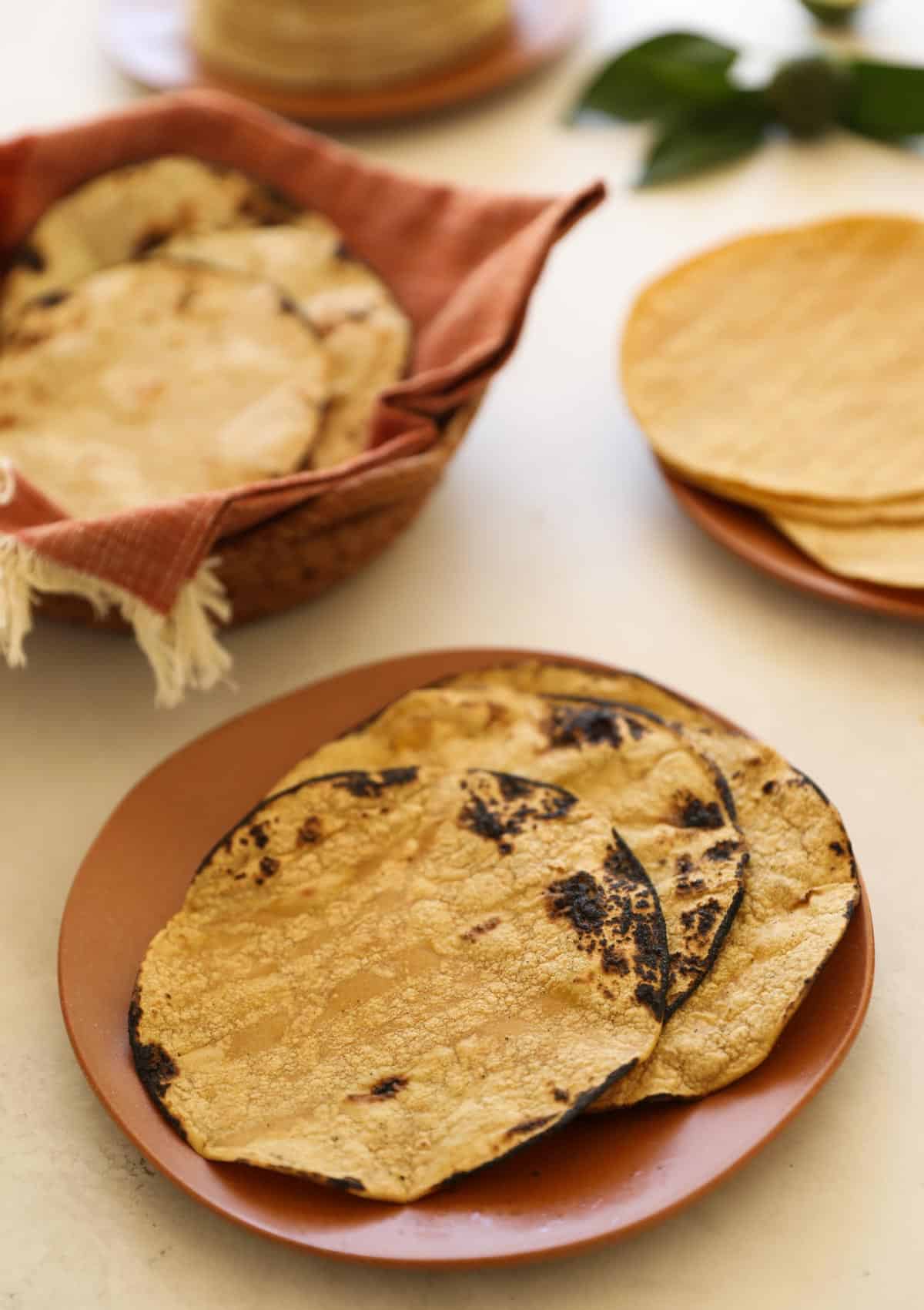 corn tortillas charred on a plate with corn tortillas in a basket