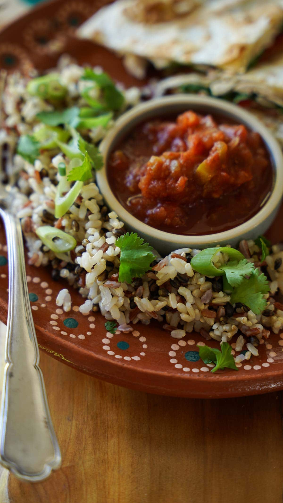 rice medley with salsa