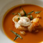 Shrimp bisque topped with creme fraiche