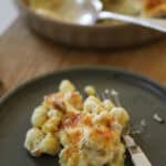 a spoonful of baked gnocchi and cheese on a plate with a fork.