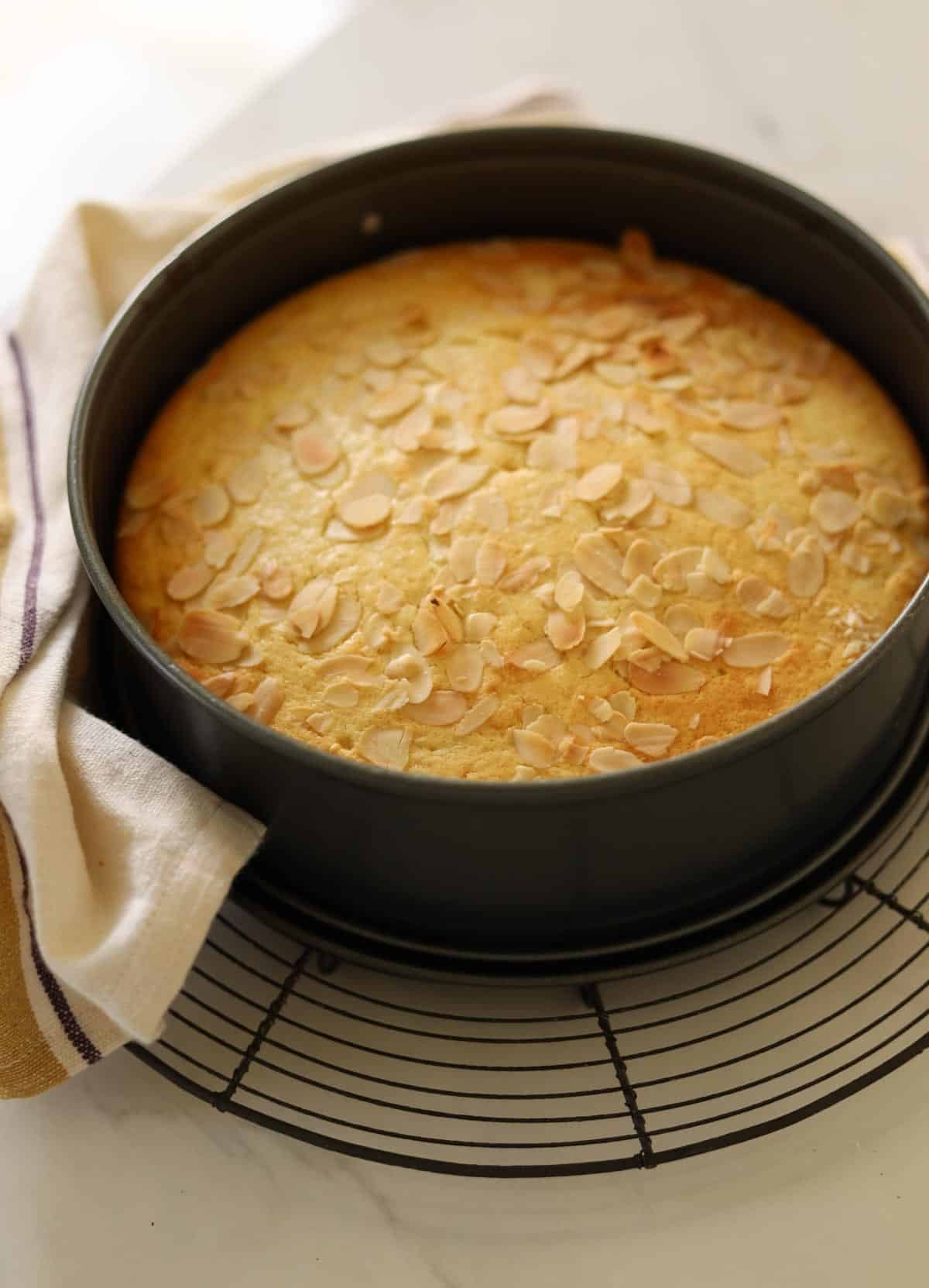 A cake cooling on a cake stand in a cheesecake pan.